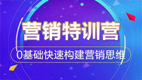 互联网营销特训营 0基础快速构建营销思维